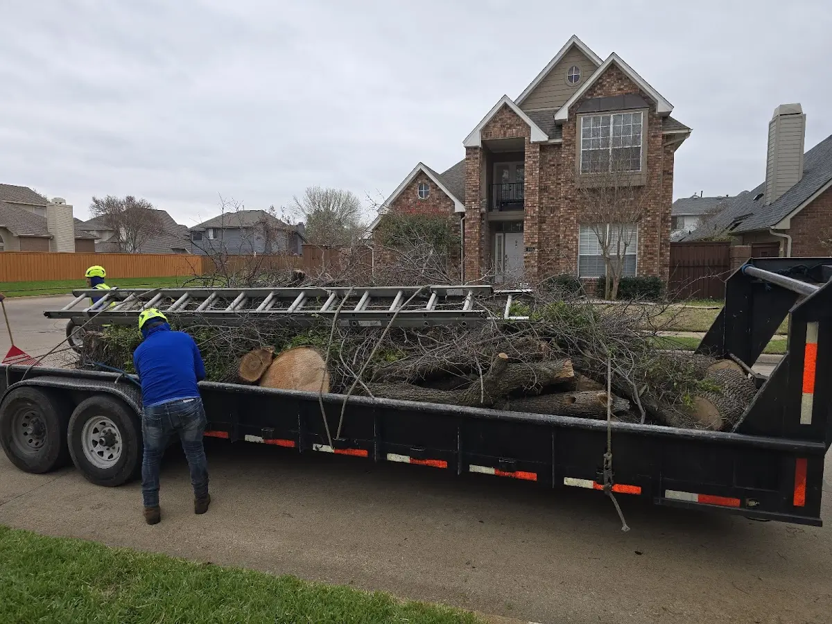 Expert Crown Reduction with proper safety equipment in Muskogee